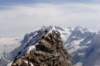 dsc02733_small.jpg