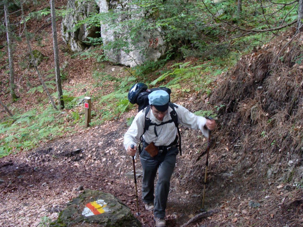 norayr2245.jpg