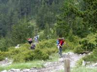 norayr2265_small.jpg