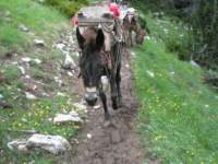 norayr2267_yannis60973_small.jpg