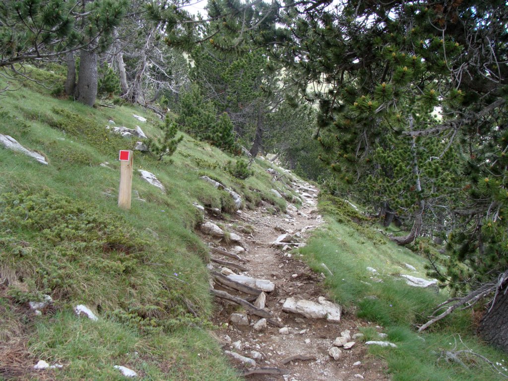 norayr2271.jpg