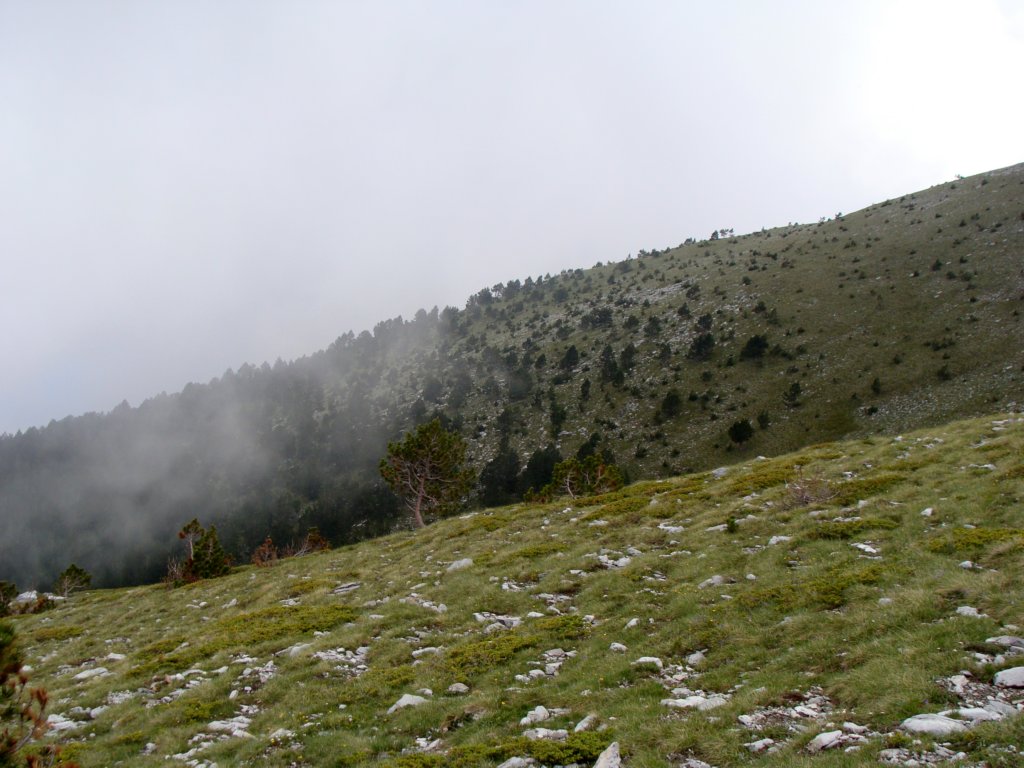 norayr2273.jpg