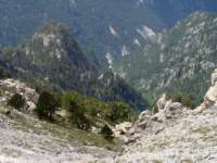 norayr2276_small.jpg