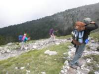norayr2276_yannis60982_small.jpg