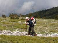 norayr2278_small.jpg