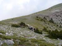 norayr2280_small.jpg