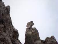 norayr2289_small.jpg