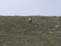 norayr2293_small.jpg