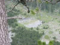 norayr2317_yannis71028_small.jpg