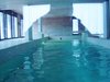 354-Piscine