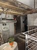 DSC01737