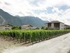 DSC01708